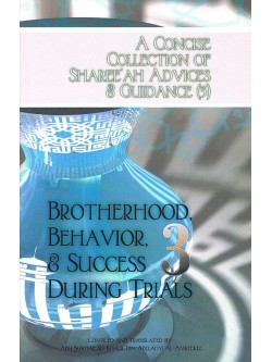 A Concise Collection of...Brotherhood, Behavior, & Success During Trials 3