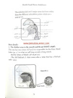 The Essence of Tajweed The Fundamentals of the Recitation of Imam Hafs