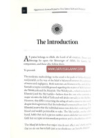 Questions & Answers Related To True Islamic Faith & Disbelief